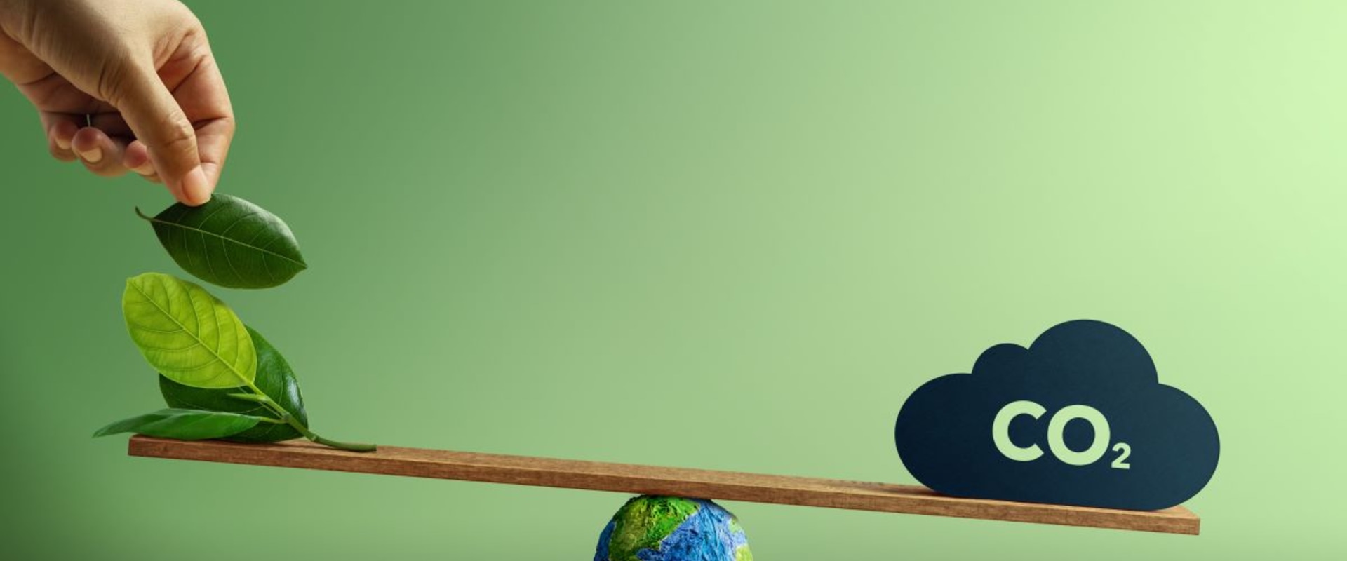 10 Easy Ways to Reduce Your Carbon Footprint and Support Local Businesses