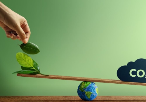 10 Easy Ways to Reduce Your Carbon Footprint and Support Local Businesses